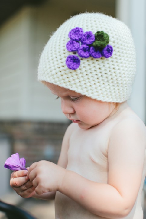 Cherries and grapes-05